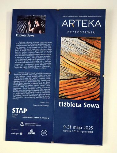2-copy Galeria ARTEKA wystawa malarstwa Elżbiety Sowy