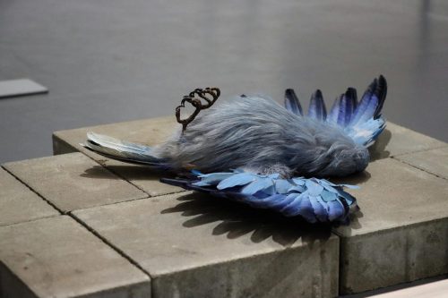 img-2596-edytowano-copy BWA - NIEDZIELA NA SALONIE