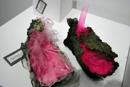 img-2606-edytowano-copy BWA - NIEDZIELA NA SALONIE