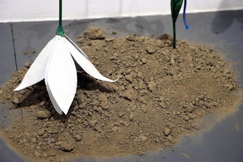 img-2867-edytowano-copy BWA - NIEDZIELA NA SALONIE