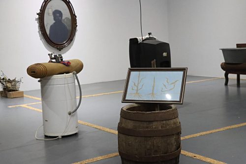 img-2057-edytowano-copy O wystawie „Dom Istot Wielu” Michała Tokarza