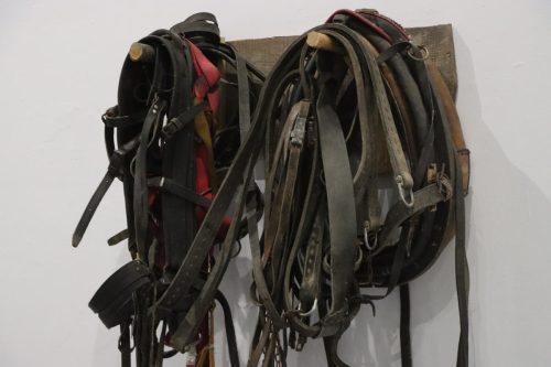 img-2060-copy O wystawie „Dom Istot Wielu” Michała Tokarza