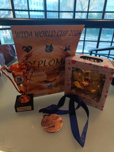 468909934_986689496823413_7434482465188001804_n Sukces tarnowianek przez duże "S" na WIDA World Cup in Bratislava