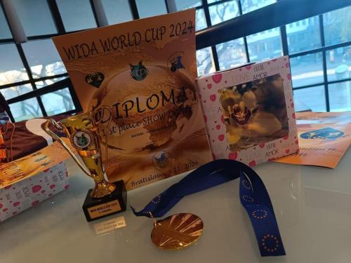 468973258_986689463490083_7318945087855113074_n Sukces tarnowianek przez duże "S" na WIDA World Cup in Bratislava