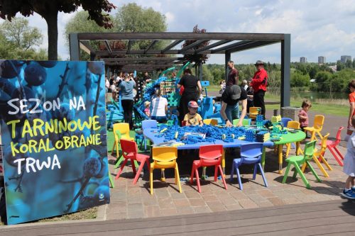 21 Miejski Dzień Dziecka 2024 na Kantorii