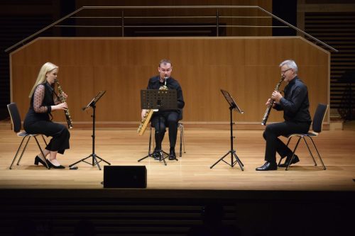 dsc-3709-copy Koncert „Muzyczny Most Chiny – Polska”