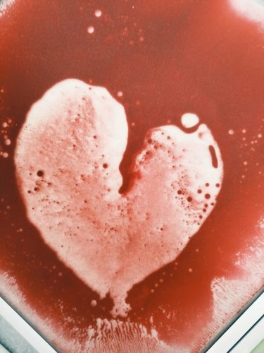 Darmowe-konsultacje-2025-5 „Październik z darmowymi konsultacjami dla rodziców i dzieci w Tarnowie”