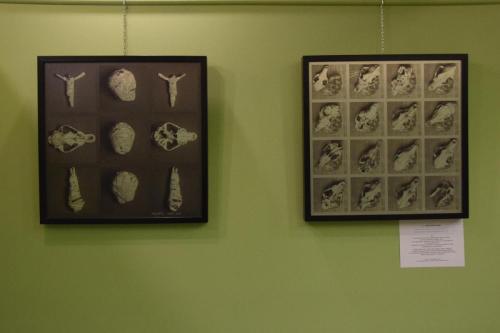 DSC_0534-Copy Jubileusz 20- lecia Galerii Sztuki Hortar