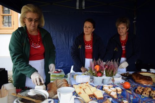 dsc-3501-copy Jesień w zagrodzie – Piknik Rodzinny