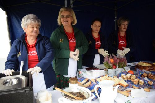 dsc-3545-copy Jesień w zagrodzie – Piknik Rodzinny