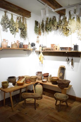 dsc-3570-copy Jesień w zagrodzie – Piknik Rodzinny