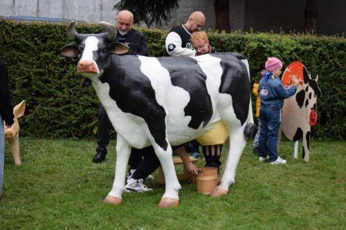 dsc-3607-copy Jesień w zagrodzie – Piknik Rodzinny