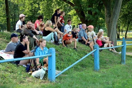 16-copy V Kwalifikacje do IX Mistrzostw Polski Koni Rasy Huculskiej - 'Wakacje z Hucułem'