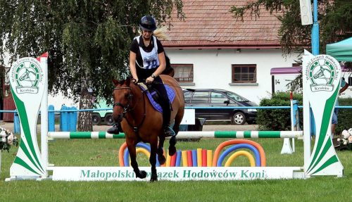 img-0954-edytowano-copy V Kwalifikacje do IX Mistrzostw Polski Koni Rasy Huculskiej - 'Wakacje z Hucułem'