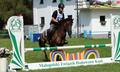 img-1029-edytowano-copy V Kwalifikacje do IX Mistrzostw Polski Koni Rasy Huculskiej - 'Wakacje z Hucułem'