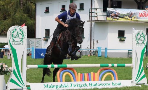 img-1061-edytowano-copy V Kwalifikacje do IX Mistrzostw Polski Koni Rasy Huculskiej - 'Wakacje z Hucułem'