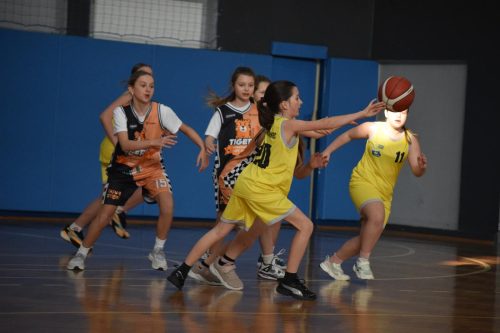 dsc-2370-copy Puchar Tarnowa w koszykówce o Puchar Prezydenta Tarnowa