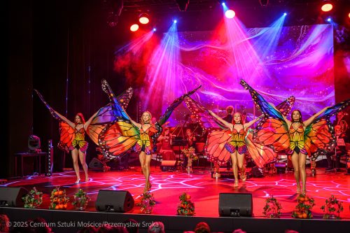 Melodie40 „Melodie Południowych Winnic”