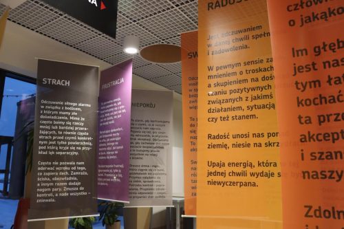 img-6552-copy „Miau! Co to za mina?” – interaktywna wystawa o emocjach dla dzieci w Domu Kultury Westerplatte