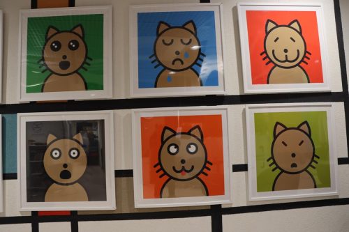 img-6574-copy „Miau! Co to za mina?” – interaktywna wystawa o emocjach dla dzieci w Domu Kultury Westerplatte