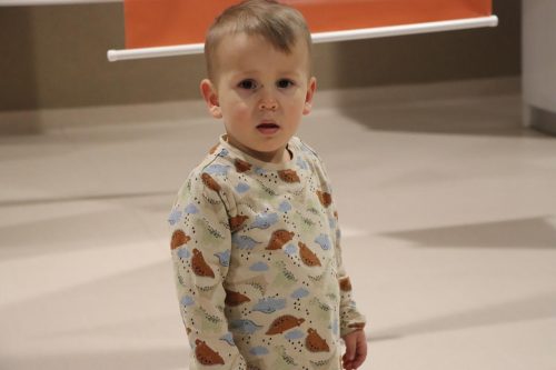 img-6626-copy „Miau! Co to za mina?” – interaktywna wystawa o emocjach dla dzieci w Domu Kultury Westerplatte