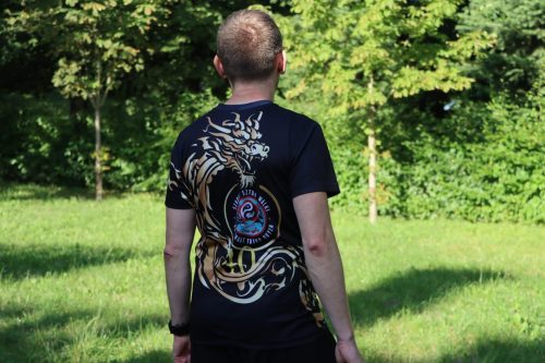 19 Harmonia ciała i umysłu. Bezpłatne Tai Chi na świeżym powietrzu