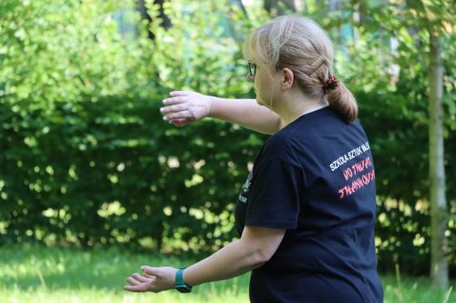 2 Harmonia ciała i umysłu. Bezpłatne Tai Chi na świeżym powietrzu