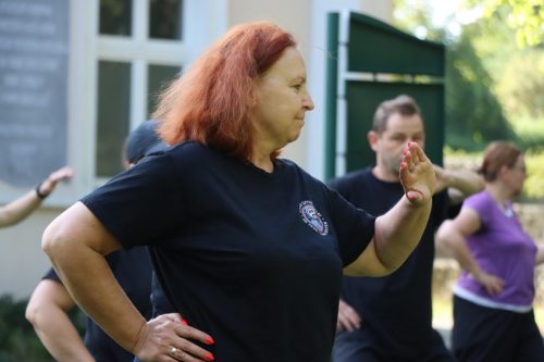 22 Harmonia ciała i umysłu. Bezpłatne Tai Chi na świeżym powietrzu