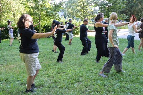 29 Harmonia ciała i umysłu. Bezpłatne Tai Chi na świeżym powietrzu
