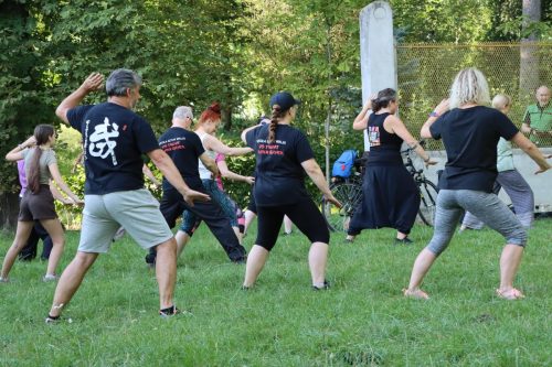 3 Harmonia ciała i umysłu. Bezpłatne Tai Chi na świeżym powietrzu