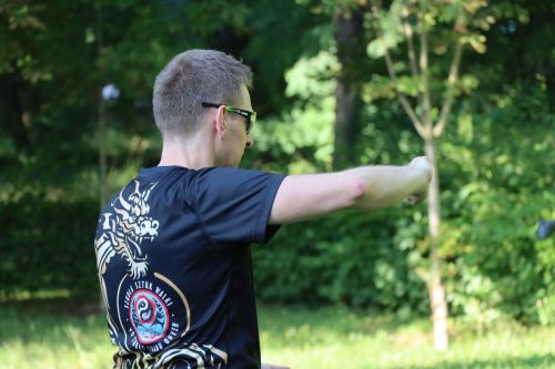 40 Harmonia ciała i umysłu. Bezpłatne Tai Chi na świeżym powietrzu