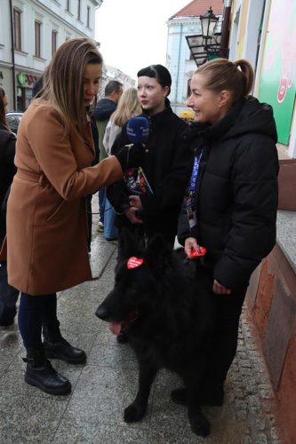 img-7568-copy WOŚP - Tak grał Tarnów część pierwsza