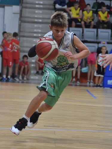 1-copy KOSZYKARSKA ARENA JASKÓŁKA