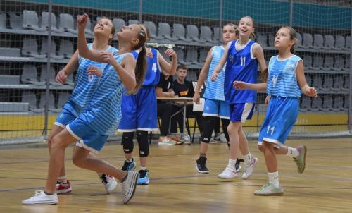 4-copy KOSZYKARSKA ARENA JASKÓŁKA