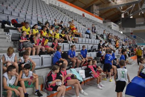 5-copy KOSZYKARSKA ARENA JASKÓŁKA