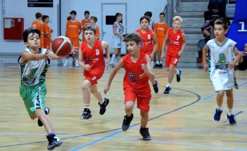 dsc-1199-edytowano-copy KOSZYKARSKA ARENA JASKÓŁKA