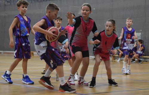 dsc-1283-edytowano-copy KOSZYKARSKA ARENA JASKÓŁKA