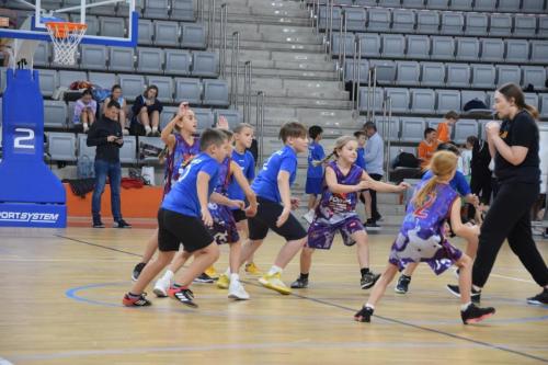 dsc-1285-copy KOSZYKARSKA ARENA JASKÓŁKA