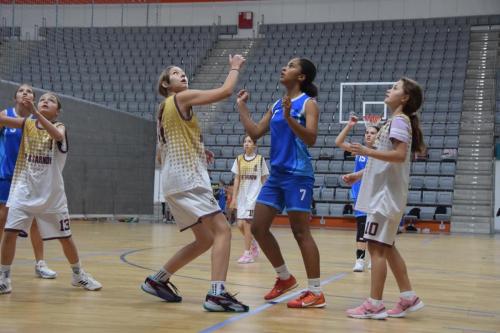 dsc-1294-copy KOSZYKARSKA ARENA JASKÓŁKA