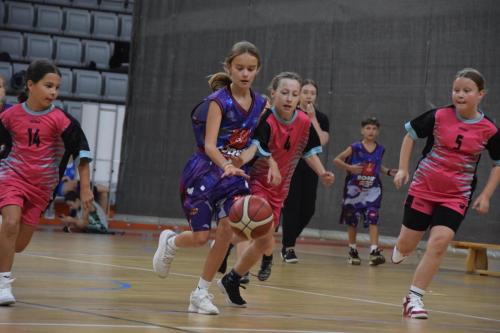 dsc-1306-copy KOSZYKARSKA ARENA JASKÓŁKA