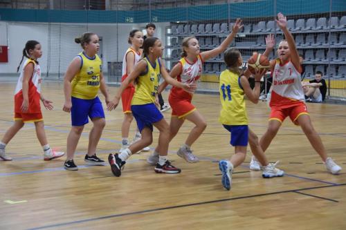 dsc-1323-copy KOSZYKARSKA ARENA JASKÓŁKA