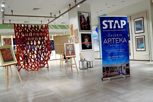 img-5616-edytowano-copy „Sztuka w przestrzeni handlowej – STAP gościnnie w Gemini Park Tarnów”