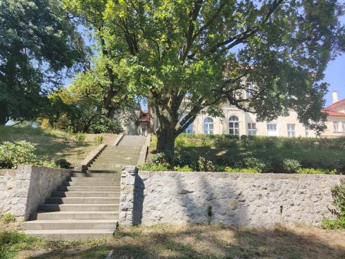 453417036_896414849184212_3056810358561525652_n Cykl: Cudze chwalicie...ZAZ Słoneczne Wzgórze