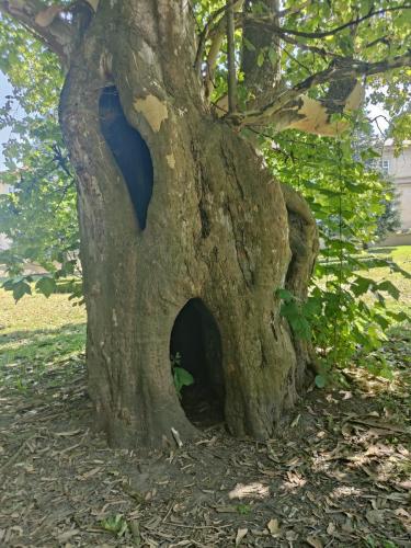 453589759_896414652517565_4071234960076952082_n Cykl: Cudze chwalicie...ZAZ Słoneczne Wzgórze