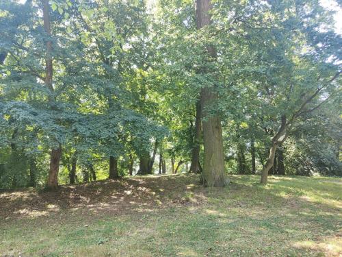 453766863_896414799184217_3155231881111440093_n Cykl: Cudze chwalicie...ZAZ Słoneczne Wzgórze