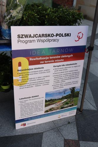 6-copy Zasadź się na zieleń w Tarnowie