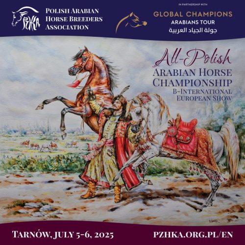 all-polish-arabian-horse-championship CZT partnerem Arabian Horse Championship