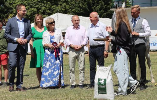 4a-copy Międzynarodowe Mistrzostwa Koni Arabskich w Klikowej