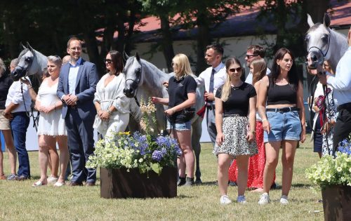 img-8126-edytowano-copy Międzynarodowe Mistrzostwa Koni Arabskich w Klikowej