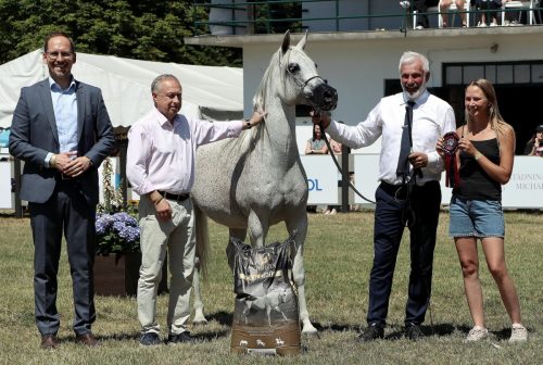 img-8482-edytowano-copy Międzynarodowe Mistrzostwa Koni Arabskich w Klikowej